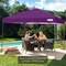 Best Choice Products 8x8ft Easy Setup Pop Up Canopy w/ 1-Button Setup, Wheeled Case, 4 Weight Bags